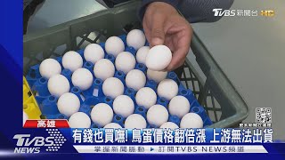 錢也買嘸「鳥蛋」百萬訂單全飛.佛跳牆改用魚蛋｜TVBS新聞@TVBSNEWS02