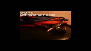 Rattlesnake Cables Guitar Cable Promo