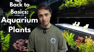 Back to Basics: Aquatic Plants!