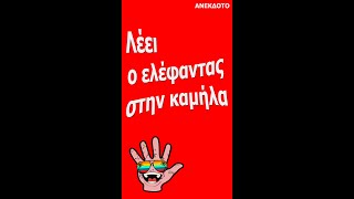 Λέει ο ελέφαντας στην καμήλα | anekdotakias™ #Shorts