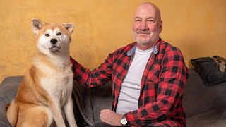 Meet Britain's top dog - a Japanese Akita Inu who can detect owner's seizures