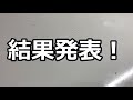 カブトムシ＋クワガタ　菌糸ブロックでババオウゴンオニクワガタの産卵実験をした結果…（くろねこチャンネル）