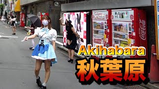 【４Ｋ60】walk in Akihabara【秋葉原をお散歩】2021年8月7日