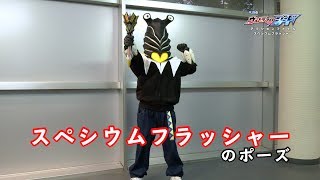 ペガの『ウルトラマンジード アクションファイル』第19回 「スペシウムフラッシャー」のポーズ