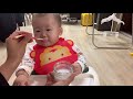 베이비무브 이유식마스터기로 초기이유식 쌀미음 만들기 baby food thin rice gruel