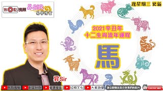 【馬】2021辛丑年十二生肖流年運程《昇sir易學情玄》 黃暐昇師傅 EP17 20201007