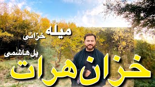 سفر به پل هاشمی ولایت هرات|ولاگ ومیله خزانی در پل هاشمی|Autumn Vlog In Herat