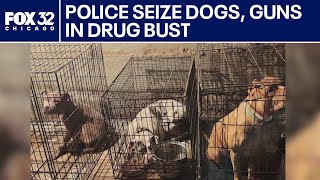 Cook County Police seize dogs, guns in drug bust