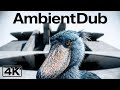 B L U E  | Ambient Dub Techno | 4K Video HQ mix