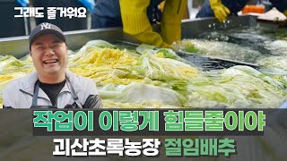 괴산초록농장 절임배추 개봉박두