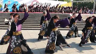 関東学院大学誇咲（2018よさこい光が丘）