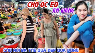 Bắt Gặp NGƯỜI ĐẸP BÁN CÁ Ế Tại CHỢ ÓC EO AN GIANG - CHỢ NÚI BÀ CON BÁN BUÔN Ê HỀ QUÁ ĐÔNG VUI | KPVL