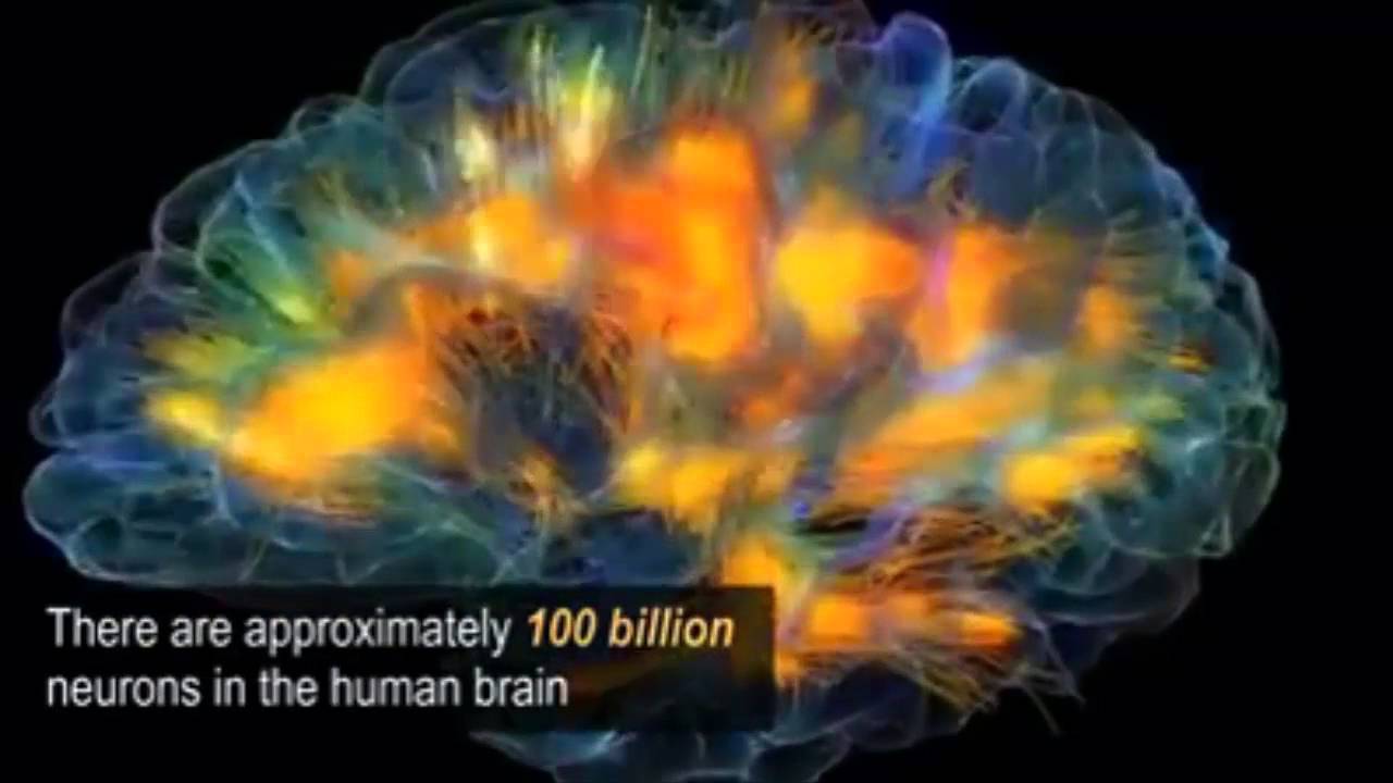 Energia En El Cerebro - YouTube