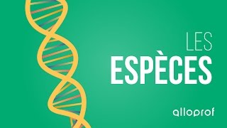 Les espèces | Sciences | Alloprof