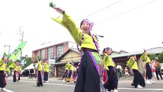 纏り衆縁陣2024【蘭ノ陣】銭形よさこい-練り歩き-　#よさこい　#縁陣　#エンジン　#纏り　#銭形よさこい　#銭形まつり　#銭よさ　#アララギ