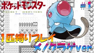 【ポケモン初代】ポケモン1匹縛りプレイ!! メノクラゲきみに決めた！part 1【ゲーム実況】【縛りプレイ】