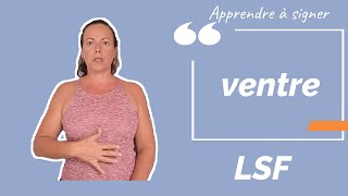 Signer VENTRE en LSF (langue des signes française). Apprendre la LSF par configuration.