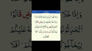 Surah Bakara aayat 76 to 78 tilawat Quran #quran #islamicstatus