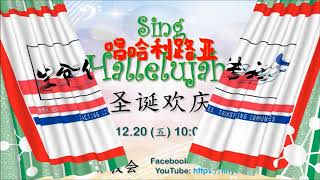 圣诞欢庆 : 唱哈利路亚 (Xmas Celebration : Sing Hallelujah)