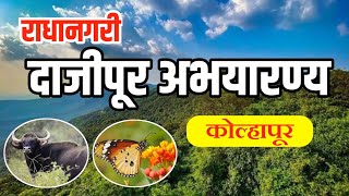 दाजीपूर अभयारण्य|कोल्हापूर|महाराष्ट्रातील निसर्गरम्य पर्यटन स्थळ|dajipur jangal #dajipur #radhanagri