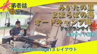 【まほろばの湯オートキャンプ場 ドッグフリーサイト】第壱話 秋キャンプがはじまったやで！【Naturehikevillage 13】【関西 犬 キャンプ】【チワワ ちわプー】