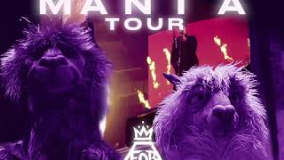Fall Out Boy M A N I A Tour