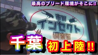 驚愕！？「市川インセクト倶楽部」さんに初潜入したらクワカブ飼育者の夢を叶えるブリードスペースがヤバすぎた！！Ryu's Tree#109【千葉県初潜入】【カブトムシ・クワガタムシのお店】