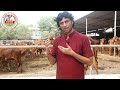 गौमाता को शुद्ध पानी कैसे दें गोपाल सुतारिया बंसी गिर गौशाला