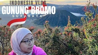 Ep 1 | INDONESIA VLOG | Trip ke Gunung Bromo, Surabaya #indonesia #surabaya #gunungbromo #bromo