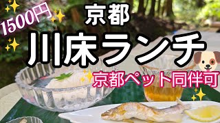 【京都川床】【川床料理】今年は【貴船・鞍馬巡り】からスタート。なんとペット同伴可の床見つけたよ。【川床カフェ】も超リーズナブル✨#京都グルメ #京都ランチ #京都ペット同伴可