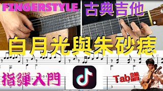 吉他教學 白月光與朱砂痣 TAB 吉他譜 五線譜  Fingerstyle Guitar TAB  古典吉他 木吉他 指彈吉他 吉他初學 吉他入門