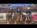 2019 aqha youth team penning