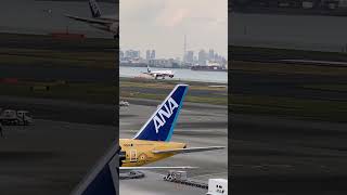 ANA B787-8 Dreamliner landing on Haneda Airport 2023.3.30 #Shorts