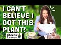 My First Steve's Leaves Unboxing / Houseplant Chores! 📦🌿