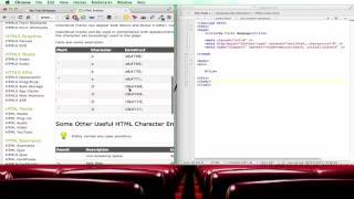 Lecture 28 - HTML ENTITIES