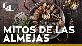 ¡Las almejas aportan más HIERRO que la carne! Beneficios del molusco que puede reducir el estrés