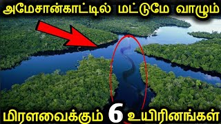 அமேசான் காடுகளில் மட்டுமே வாழும் ஆபத்தான 6 உயிரினங்கள்! | 6 Amazing Amazon Creatures