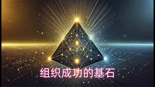 管理学原则——组织成功的基石