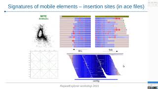 RepeatExplorer workshop 2021 - Repeat annotation and quantification (for Protocols 1 and 2)