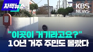 [자막뉴스] \