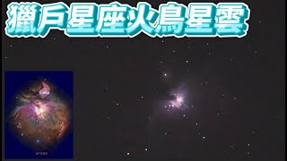 獵戶座火鳥星雲_2023-01-31