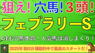 【2025 フェブラリーS】絶対に買いたい穴馬３頭！G１レースも穴馬本命で勝負！