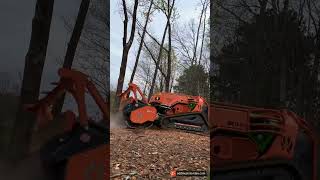 Remote Control Forestry Mulcher. Quick stump grinding.