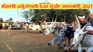 ಜೋಡಿ ಎತ್ತಿನಗಾಡಿ ಓಟ ಸ್ಪರ್ಧೆ ಪಾಲಹಳ್ಳಿ | Bullock Cart Race Palahalli MANDYA | Hallikar Ethinagadi Race