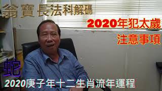 屬蛇人士犯太歲注意事項︱2020庚子年十二生肖流年運程《翁寶長法科解碼 節錄》