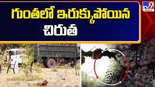 Prakasam : గుంతలో ఇరుక్కుపోయిన చిరుత - TV9