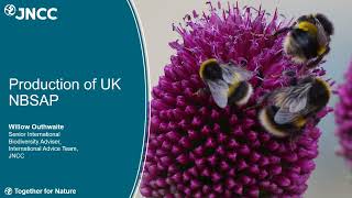 Developing a UK Response to the Global Biodiversity Framework