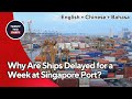 [EN/CN/ID] Singapore Port Delays Surge to 7 Days! What’s Happening? 新加坡港口延误高达7天！发生了什么事？