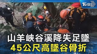 山羊峽谷溪降失足墜 45公尺高墜谷骨折｜TVBS新聞 @TVBSNEWS02