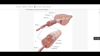AccessPhysiotherapy & FA Davis Collections Webinar